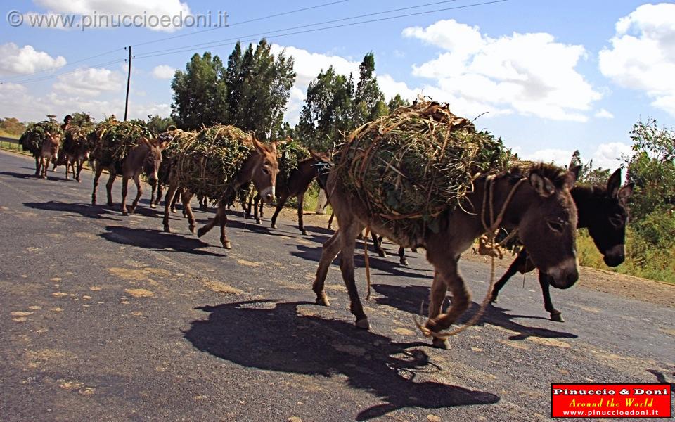 Ethiopia - 066.jpg